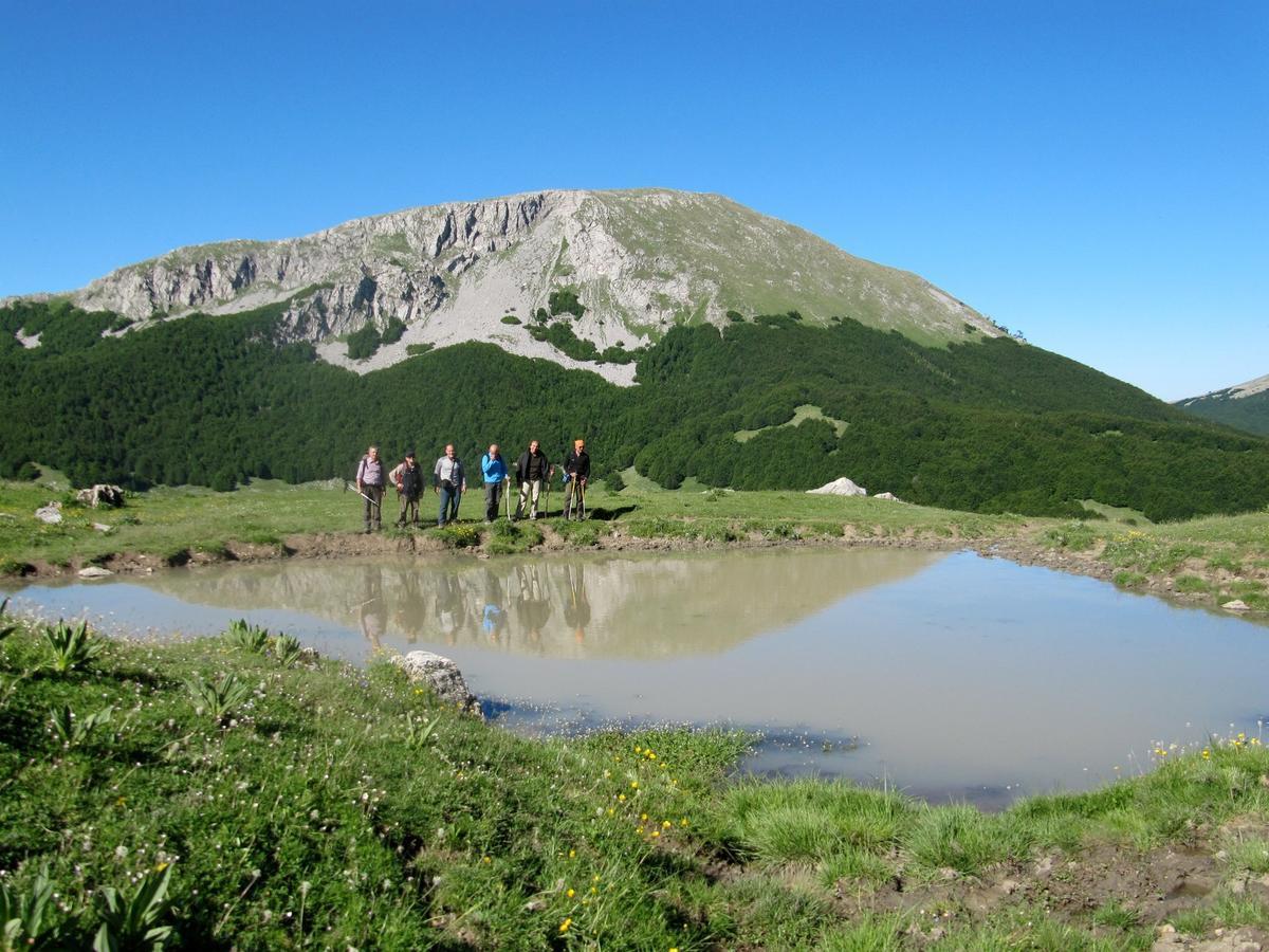 B&B Sole Del Pollino Rotonda Exterior photo