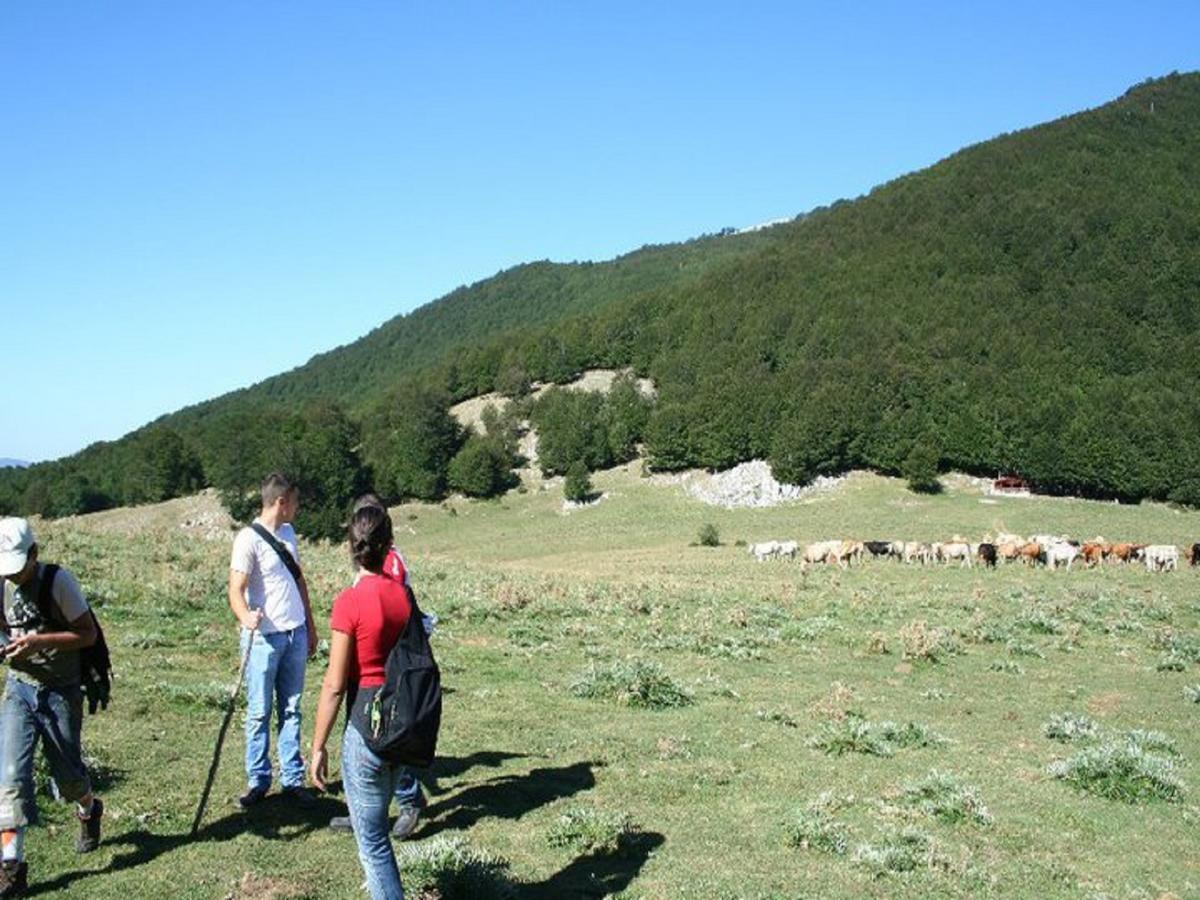 B&B Sole Del Pollino Rotonda Exterior photo